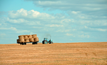 Farming